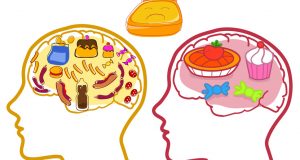 Brain full of unhealthy food images